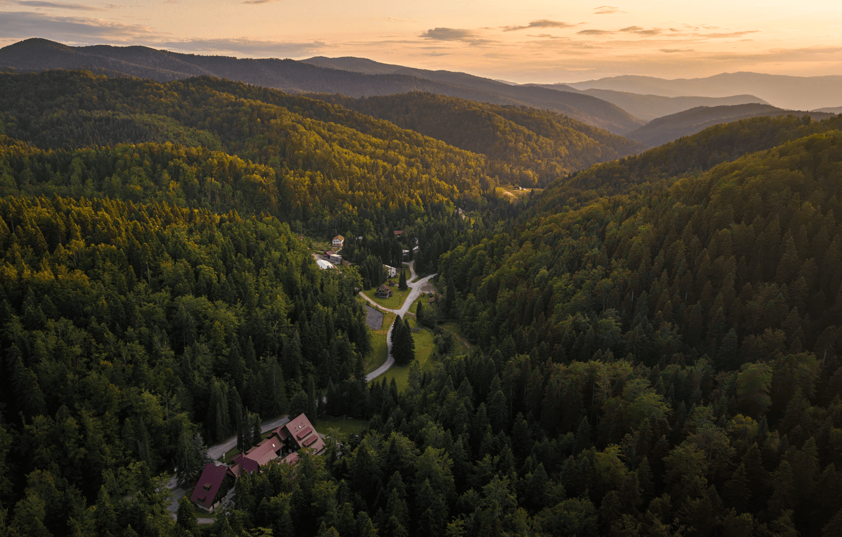 Lignin.rs, naslovna fotografija