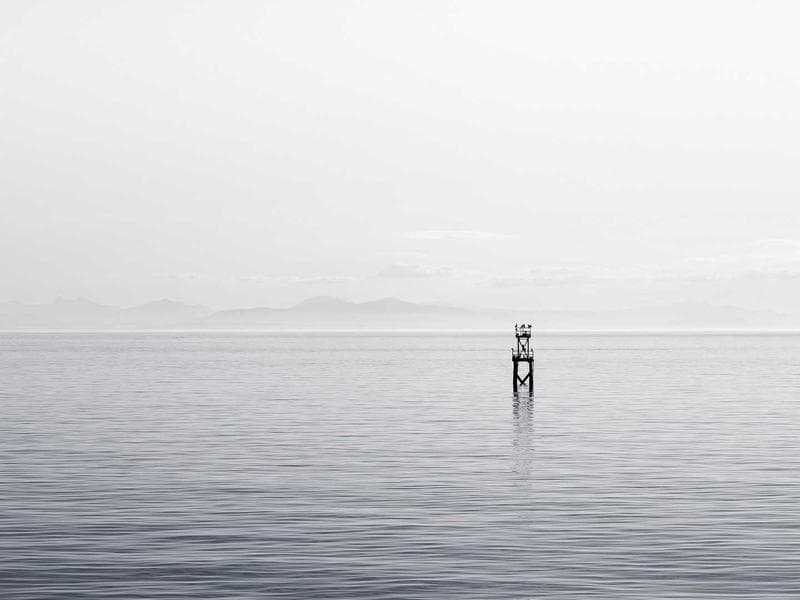 Brusilica DMC Biesse Viet S2