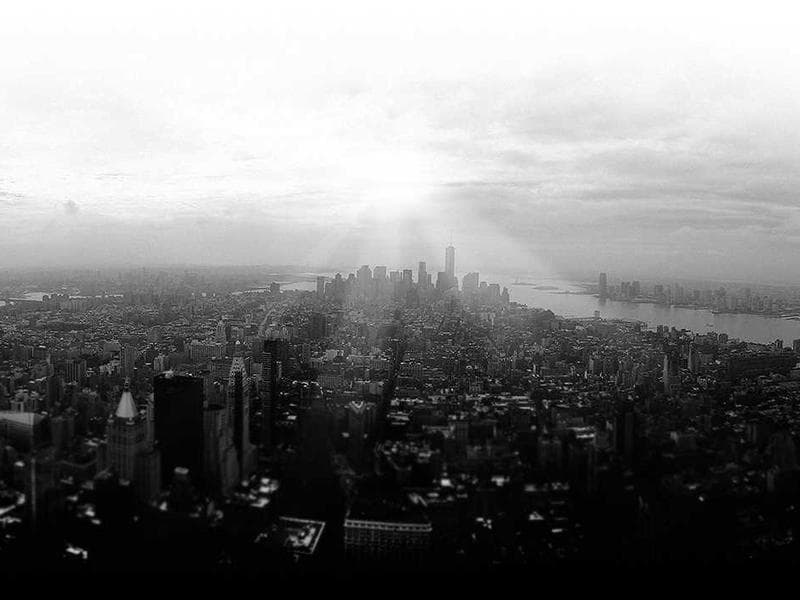 Pilana brenta — gater